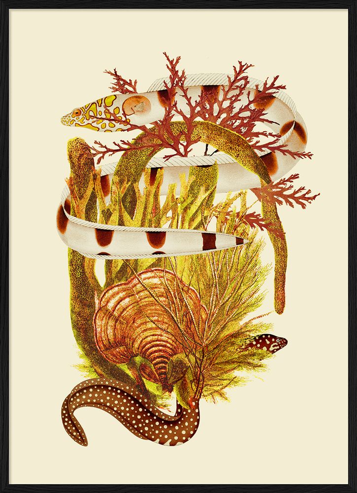 Affiches - Affiche Fish&Weed, Yellow Tones. - THE DYBDAHL CO.