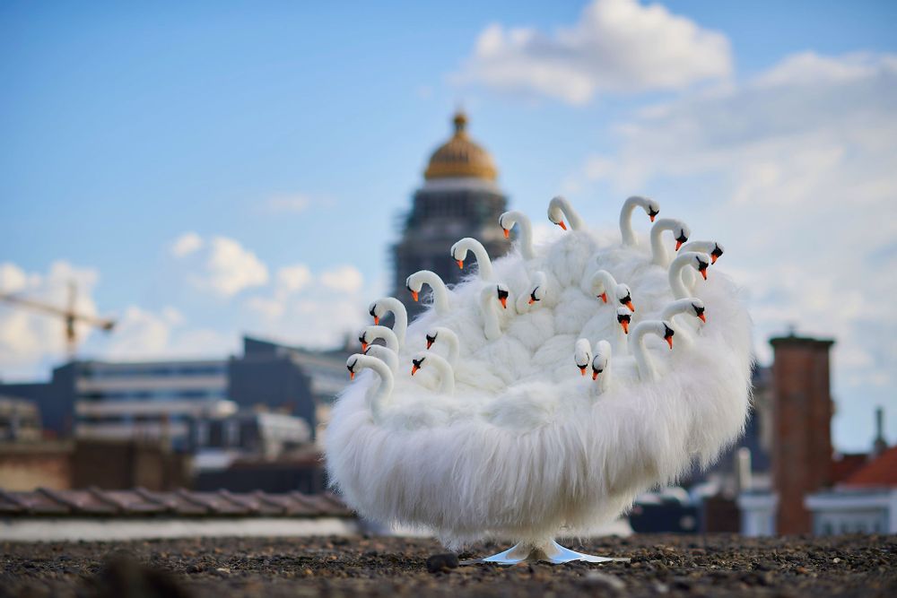 Design objects - Swan chair - APCOLLECTION