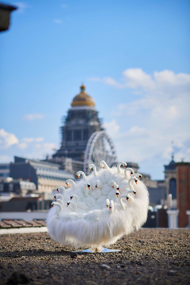 Design objects - Swan chair - APCOLLECTION