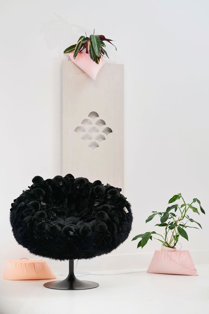 Objets personnalisables - Small glove gorilla. - APCOLLECTION