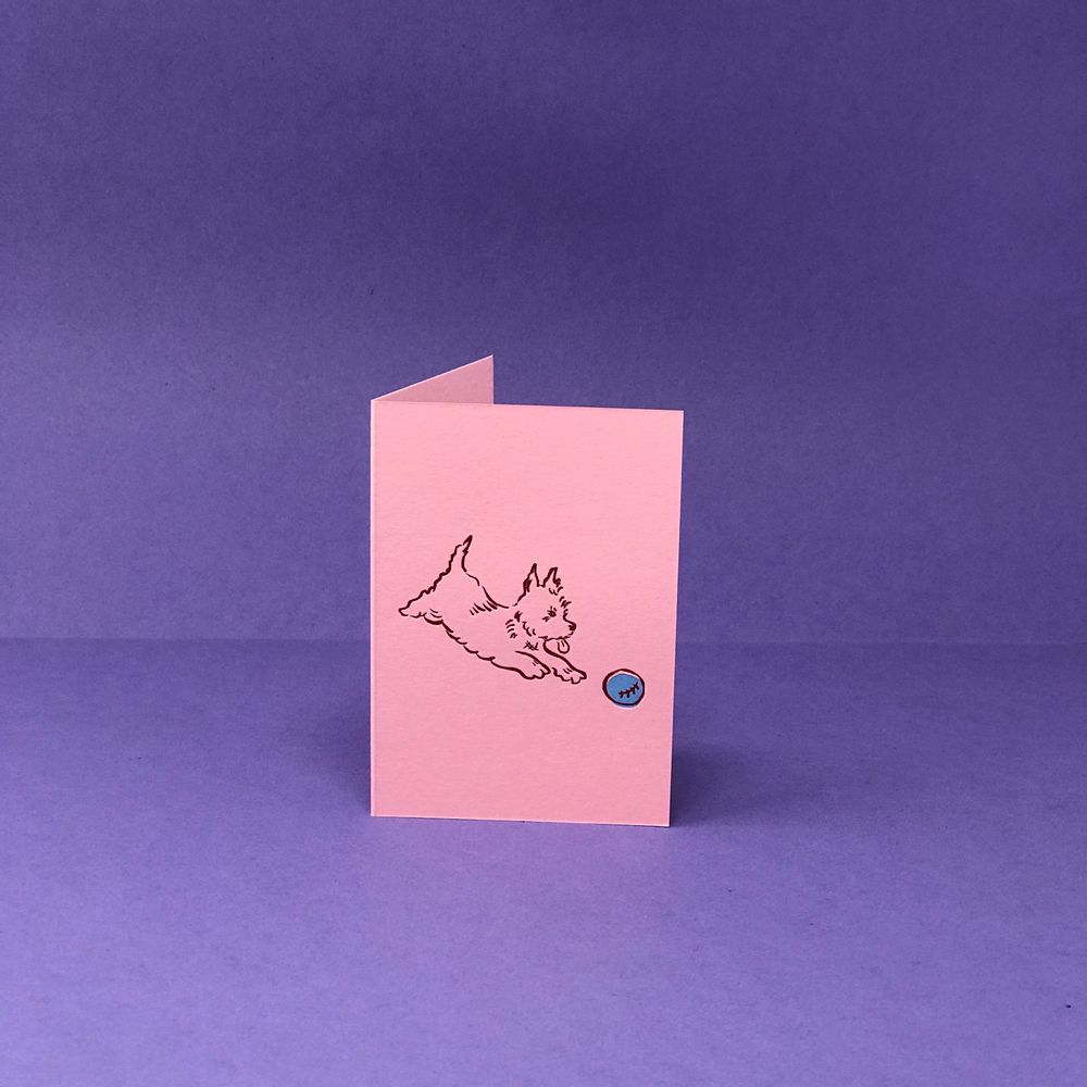 Stationery - Mini Cards - ARK COLOUR DESIGN