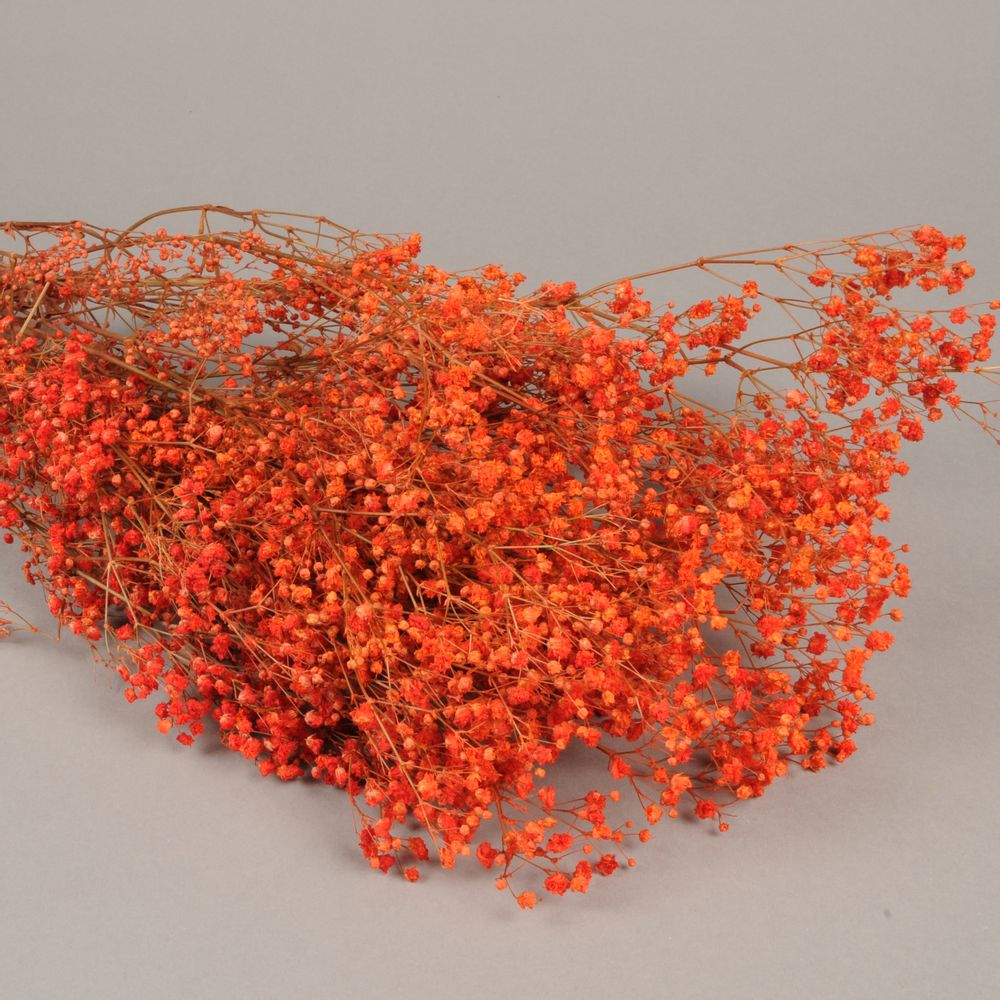 Décorations florales - Gypsophile paniculé préservé rouge orangé - LE COMPTOIR.COM