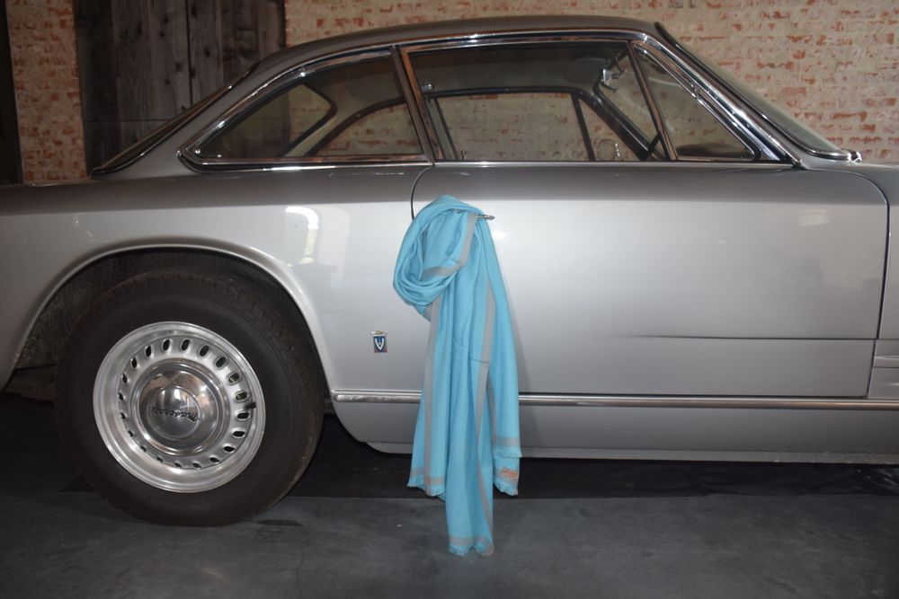 Foulards et écharpes - 100% cashmere scarves & stoles - PATRIZIA D.