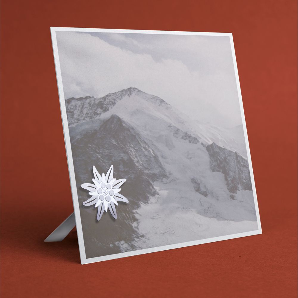 Stationery - Magnetic stainless steel photo stand - Swiss. - TOUT SIMPLEMENT,