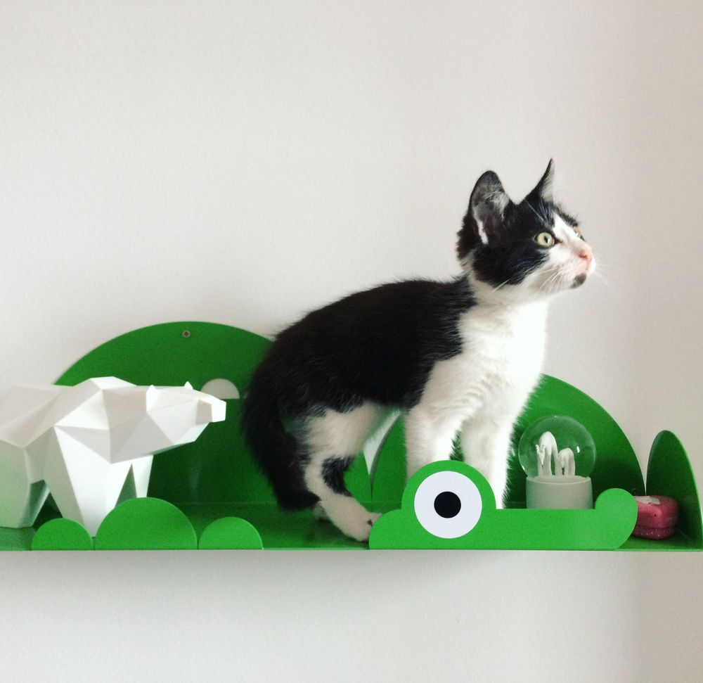 Children's bedrooms - ANIMO Wall shelves - BLEU CARMIN DESIGN