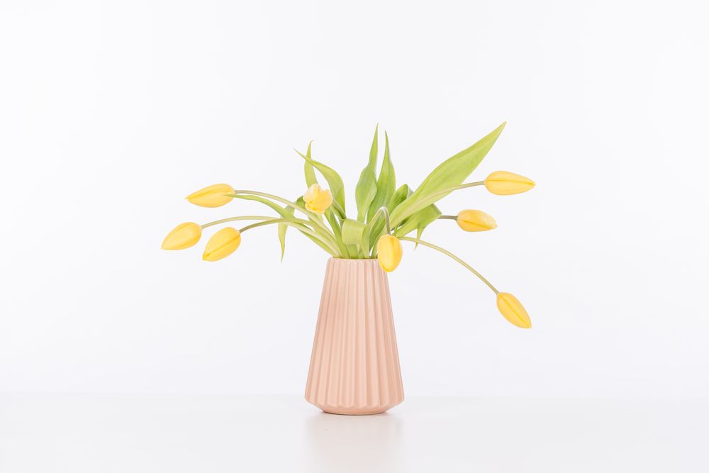 Vases - Vase ZIGGY Starflower - FORMAGENDA