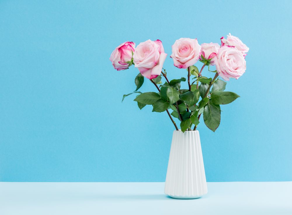 Vases - Vase ZIGGY Starflower - FORMAGENDA