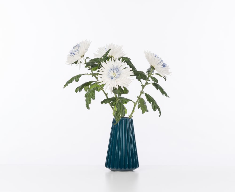 Vases - Vase ZIGGY Starflower - FORMAGENDA