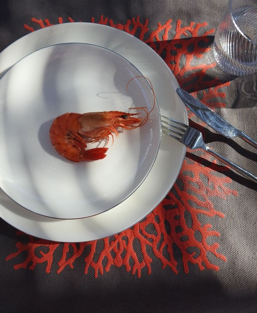 Table linen - CORAL tablecloth - ARTIPARIS
