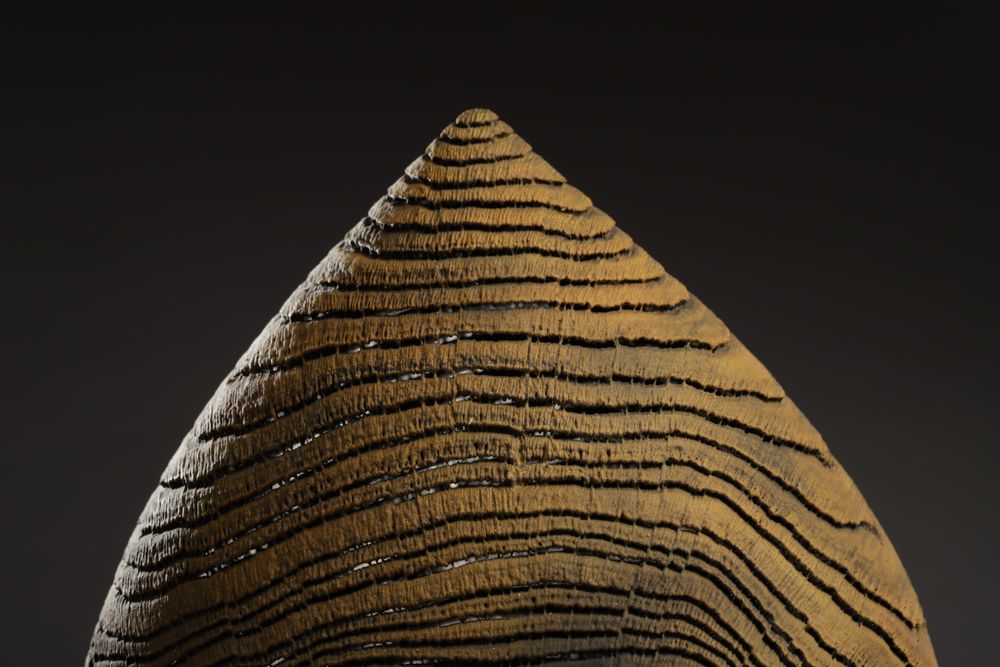 Decorative objects - decoration object Hazelnut rust - PASCAL OUDET