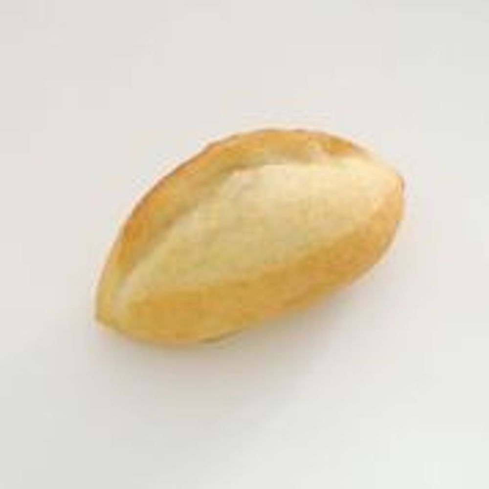 Outdoor decorative accessories - PAMPSHADE -coupe bread lamp - - PAMPSHADE BY YUKIKO MORITA