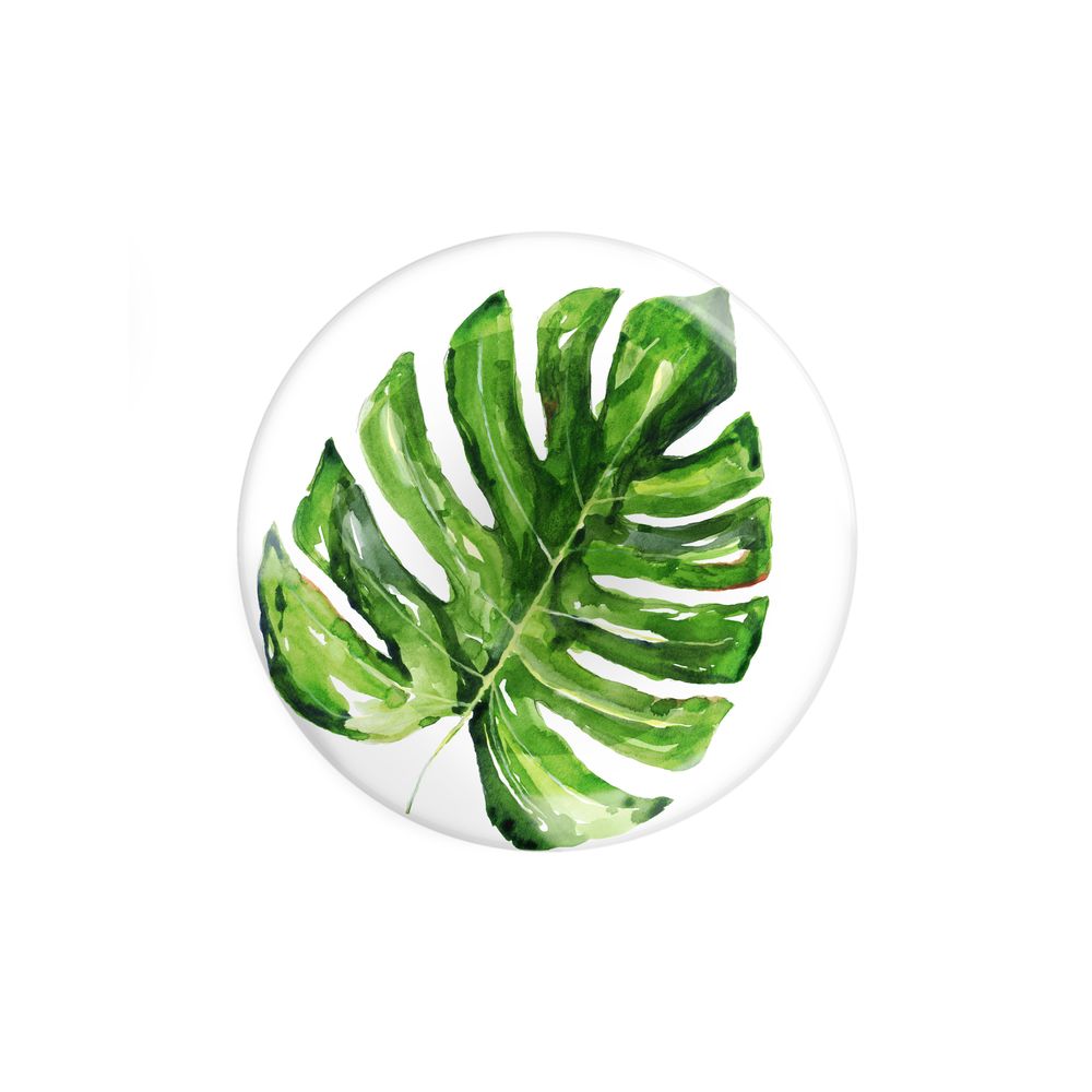Everyday plates - Exotic Collection Dinner Plate Set (Set of 4) - FERN&CO.