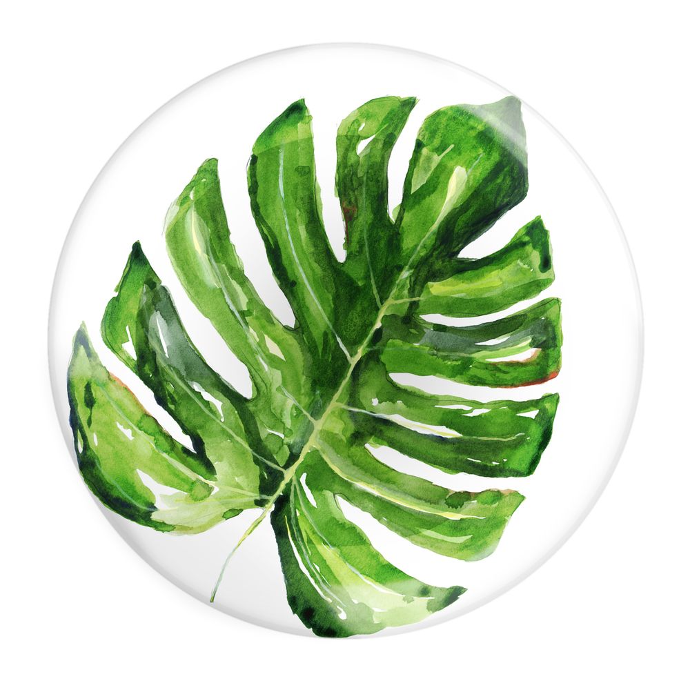 Everyday plates - Exotic Collection Dinner Plate Set (Set of 4) - FERN&CO.