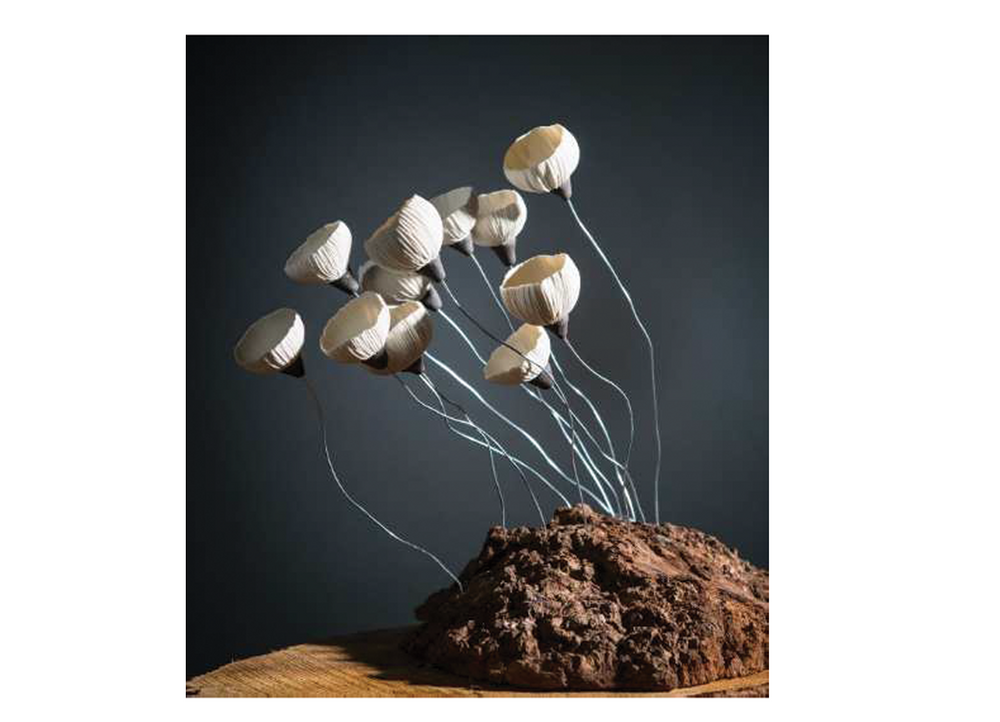 Céramique - Fleur de soie, photophores & photoFlora - ATELIER SUR LA RIVIERE - SYLVAIN FEZZOLI