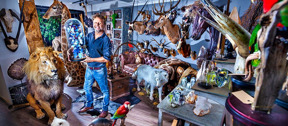 Objets de décoration - Taxidermie animaux - Articles de décoration - Intérieur & Taxidermie - DMW.NU: TAXIDERMY & INTERIOR