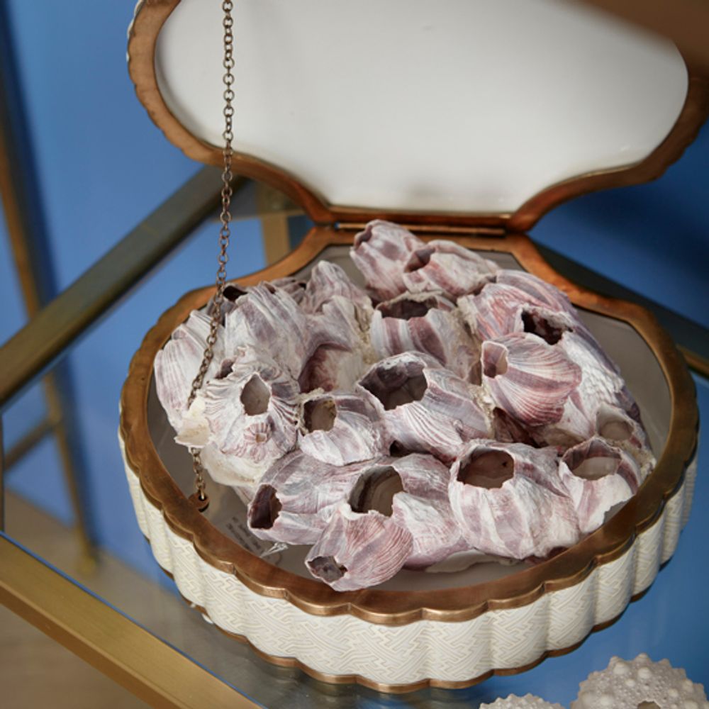 Decorative objects - Porcelain box - G & C INTERIORS A/S