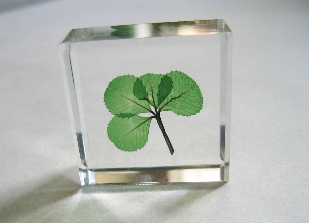 Gifts - Love of Clover - CARRÉ DE TRÈFLES
