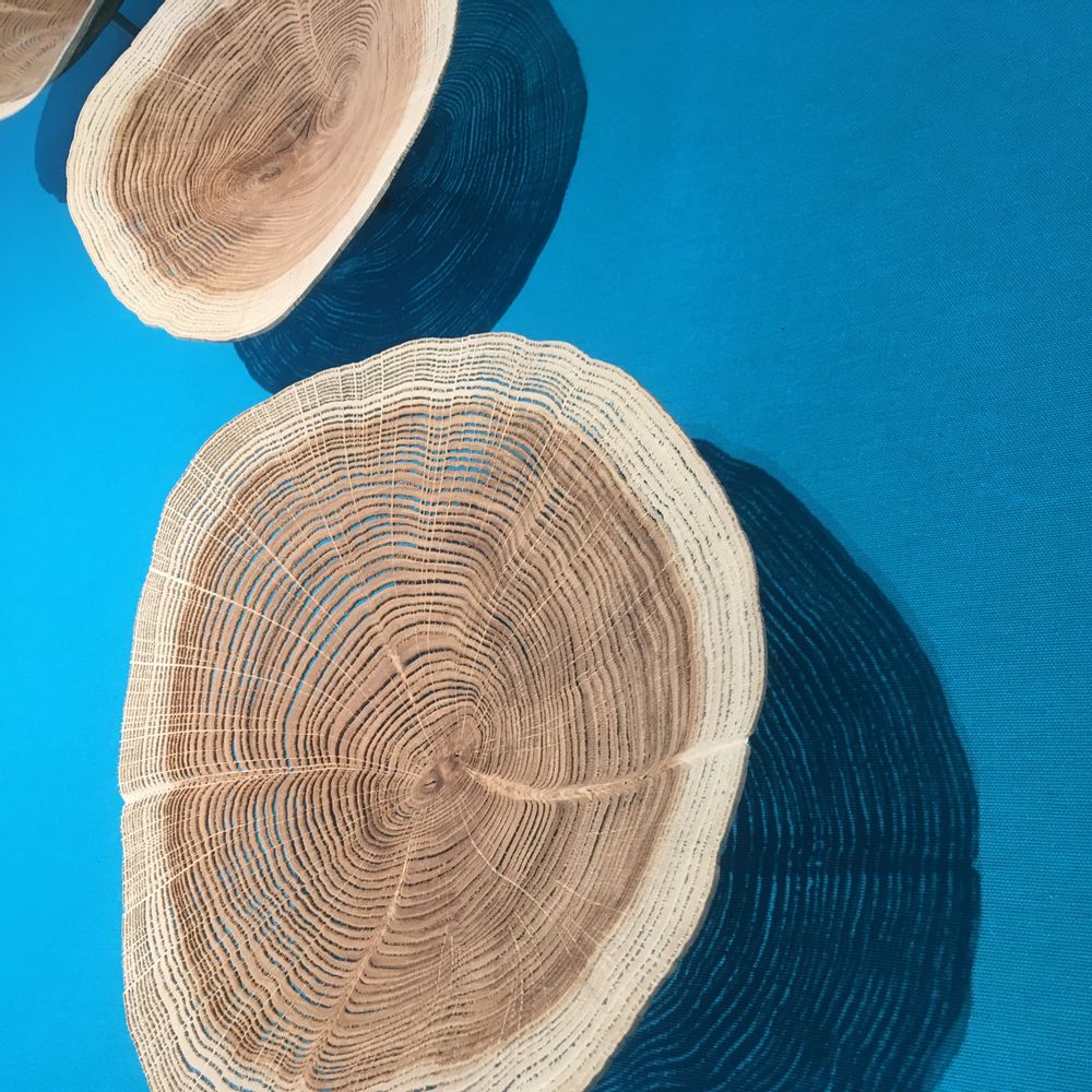 Paintings - Wall installation - PASCAL OUDET
