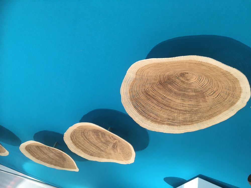 Paintings - Wall installation - PASCAL OUDET