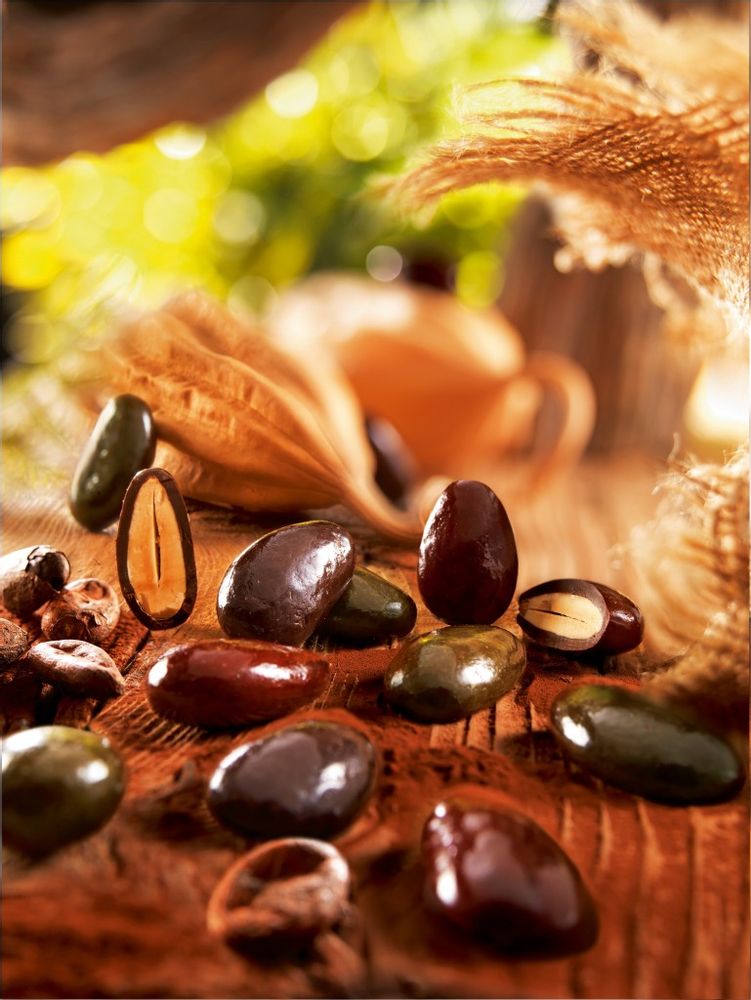 Chocolat - Ecrin Origin' - FRANCOIS DOUCET CONFISEUR