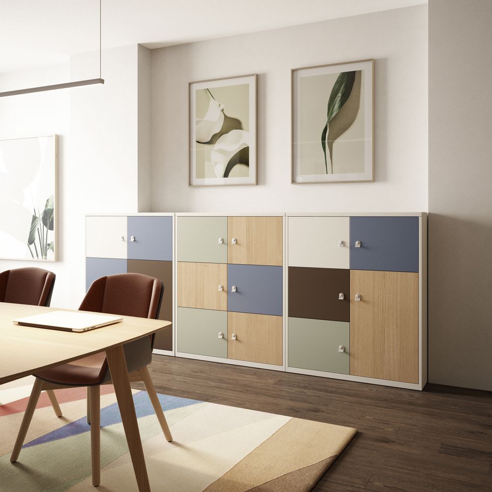 Ensembles muraux - NEWLODGES Casiers - BISLEY FRANCE