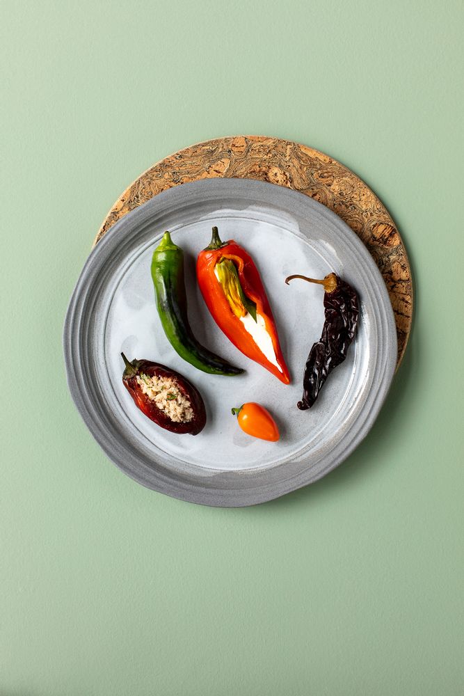 Assiettes au quotidien - Assiette plate à dîner en céramique recyclée  - 26 cm - REVOL