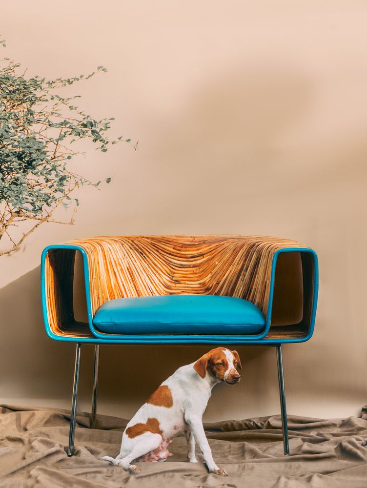 Chairs for hospitalities & contracts - Stade Lounge Chair - FINALI FURNITURE