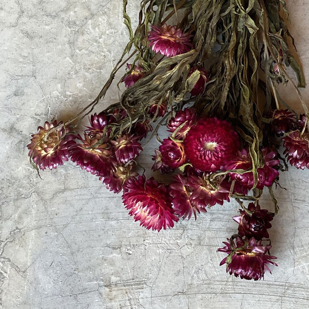 Homewear - Fleurs séchées - NAMAN-PROJECT