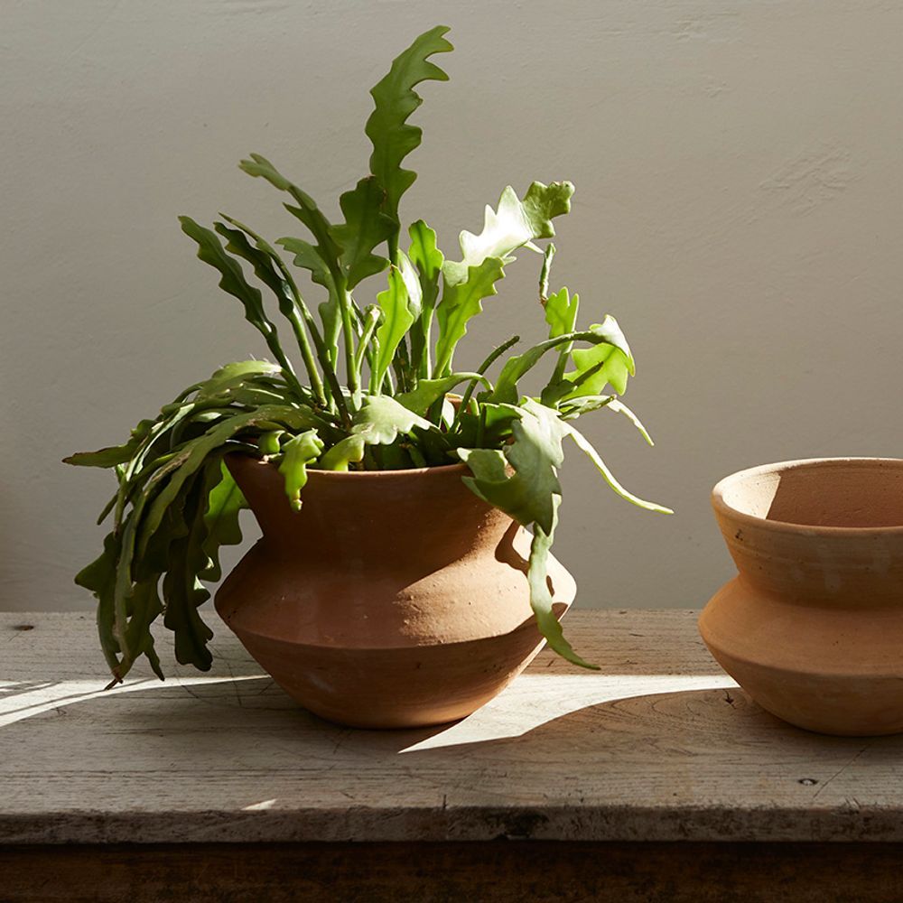Poterie - Pots en terre cuite, différentes tailles et modèles disponibles - NAMAN-PROJECT
