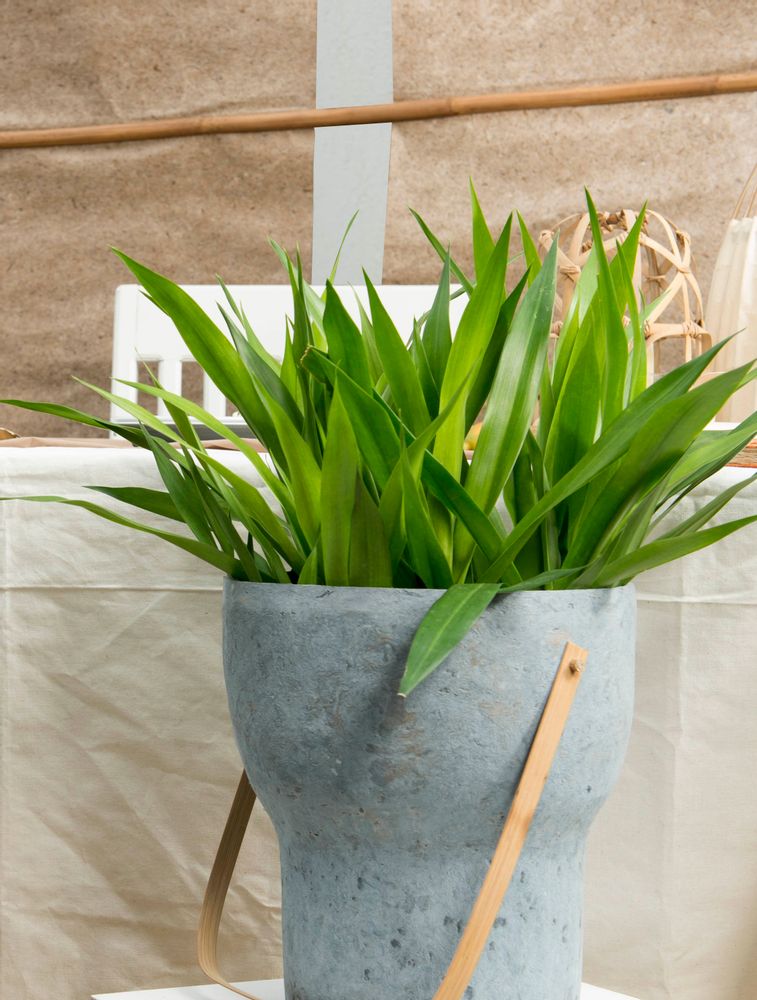 Vases - Vase en pâte à papier (gris simple) - INDIGENOUS