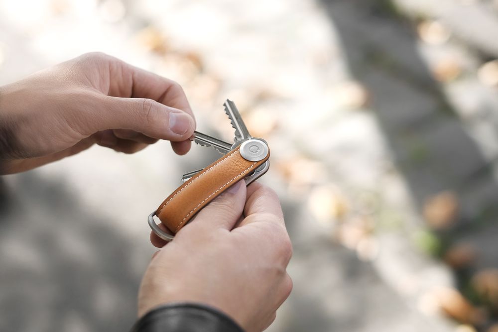 Organizer - Orbitkey Leather Range - ORBITKEY
