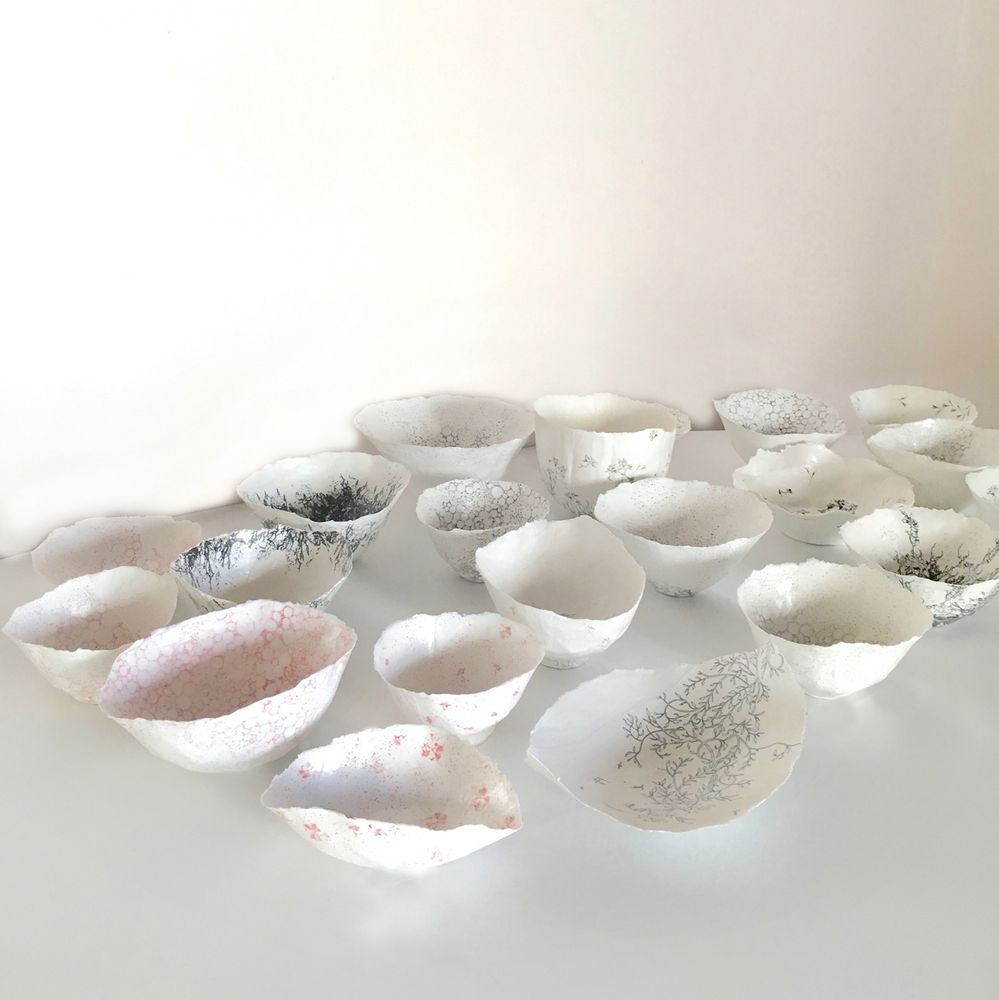 Bols - Coupelles en papier - N.LOBJOY