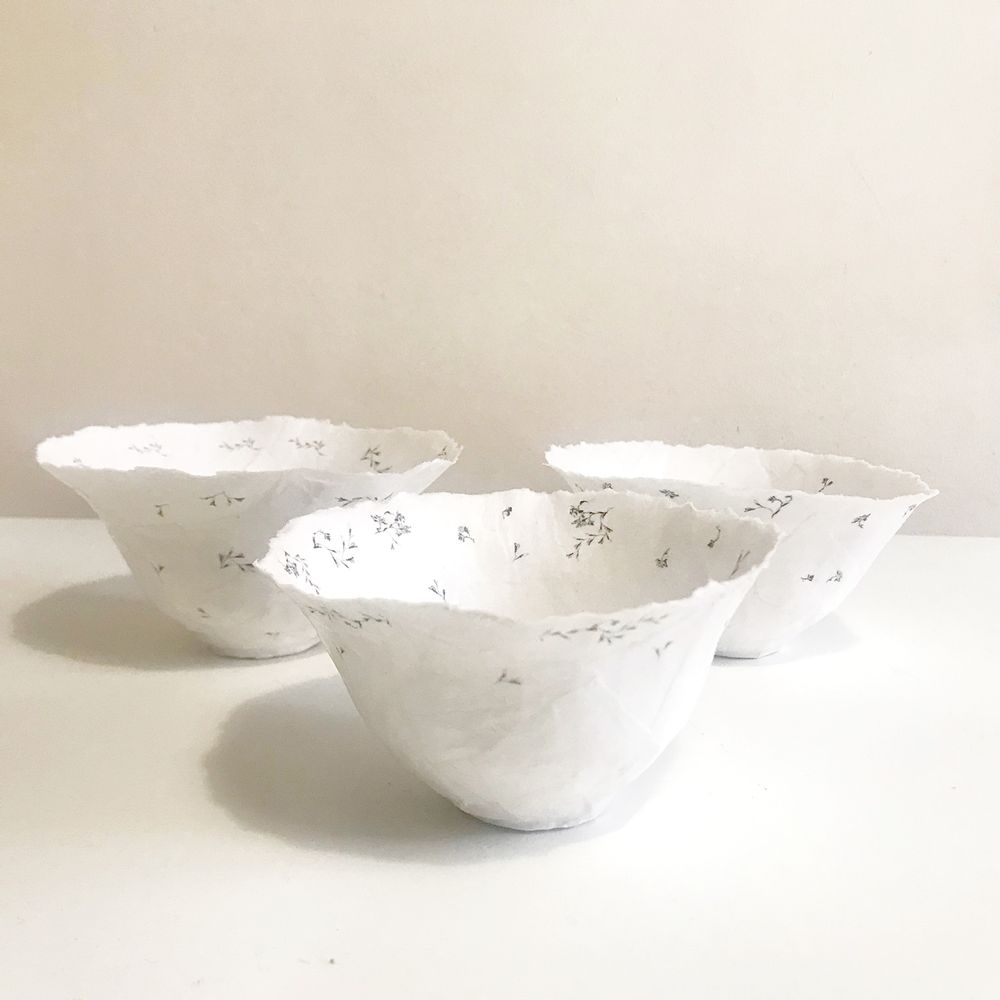 Bols - Coupelles en papier - N.LOBJOY