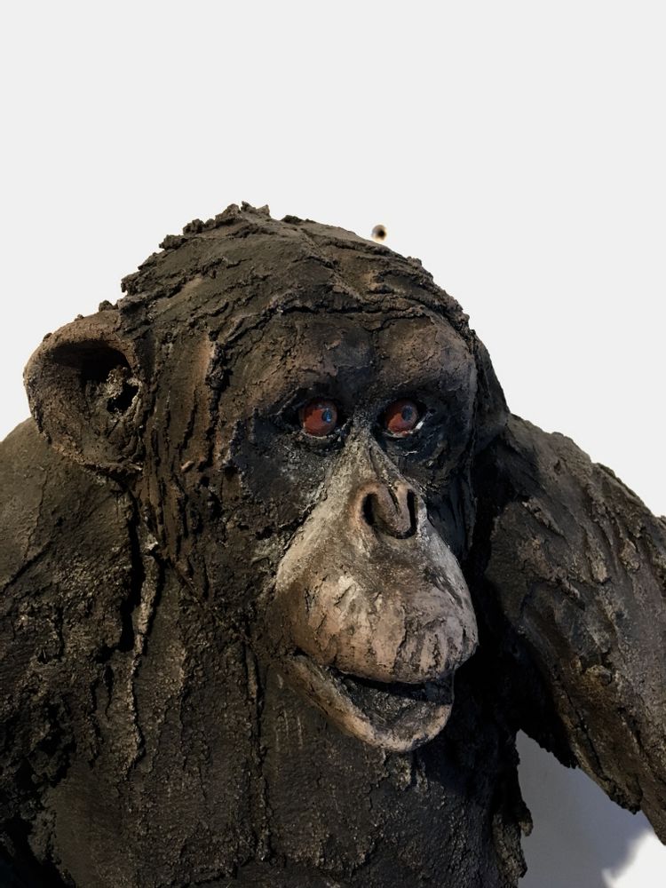 Pièces uniques - Sculpture CHIMPANZE - NICOLE DORAY S