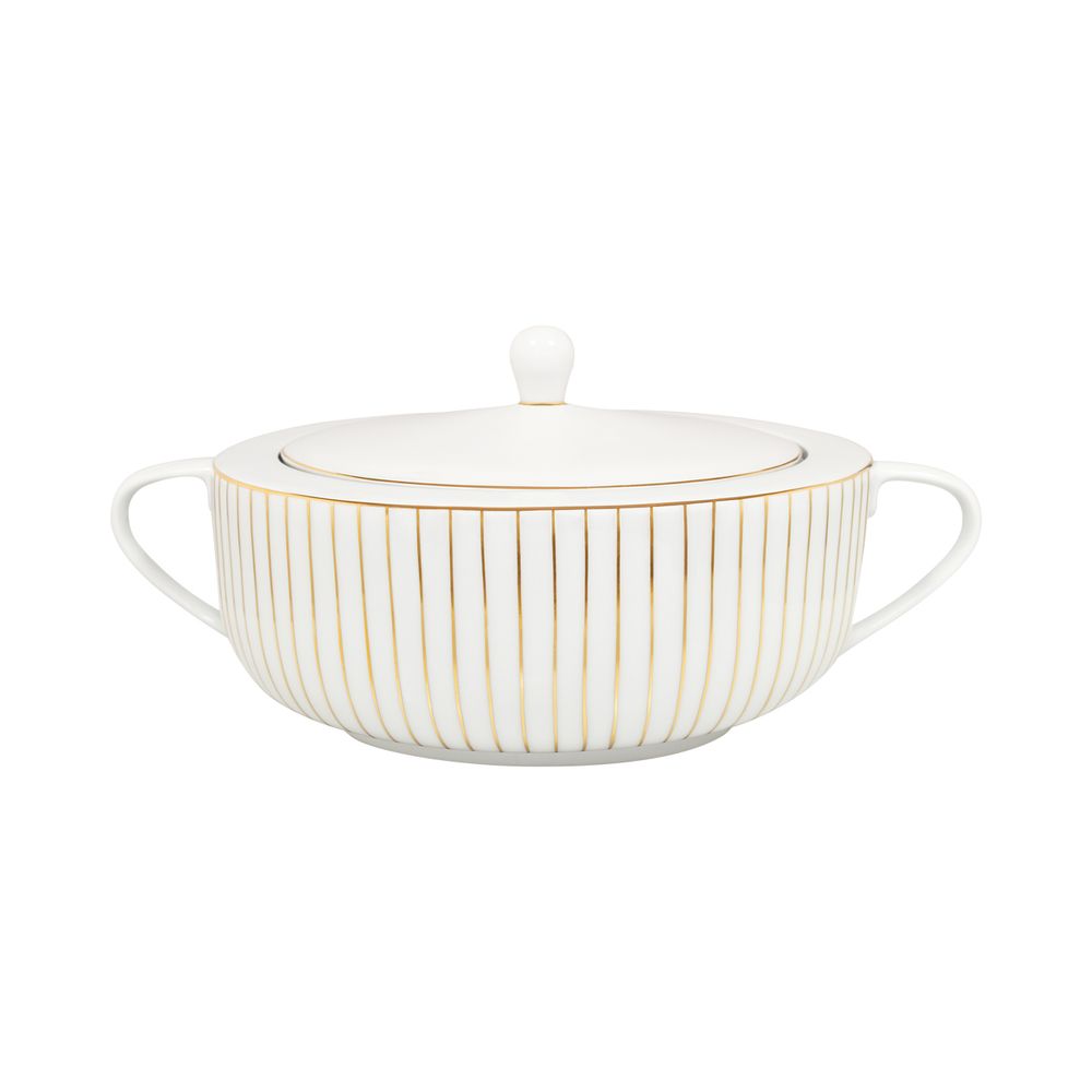 Kitchen utensils - Golden Orbit Porcelain Plates - PORCEL