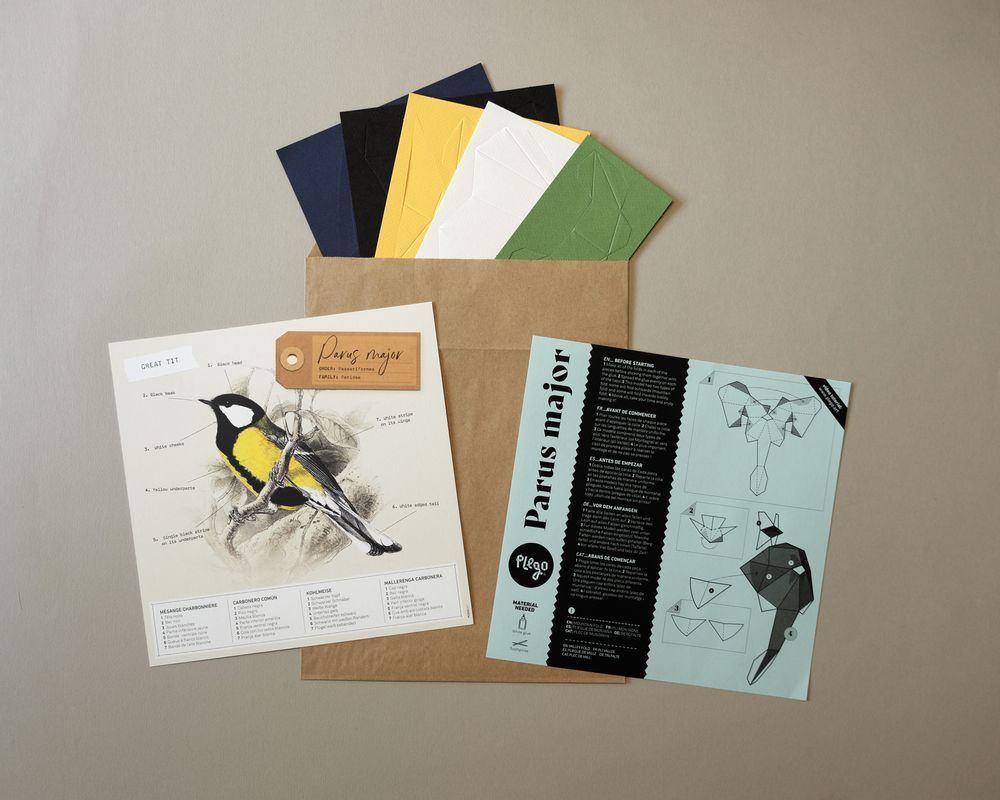 Children's decorative items - Parus Major - PLEGO