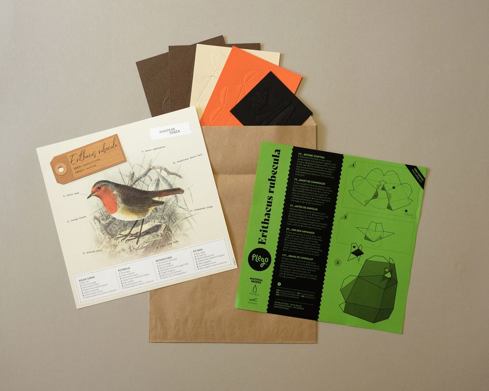 Loisirs créatifs pour enfant - Erithacus Rubecula - PLEGO