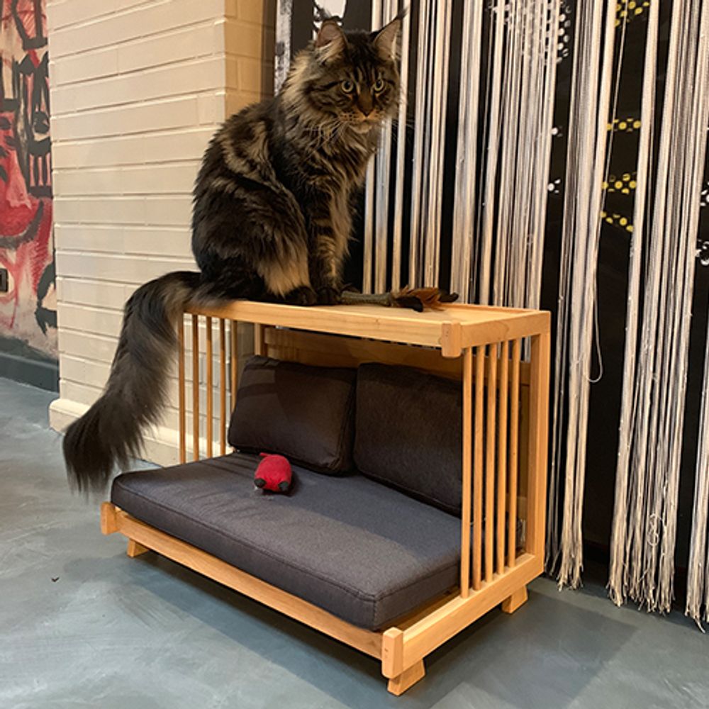 Canapés - Mini canapé pour animaux de compagnie - BARKETEK