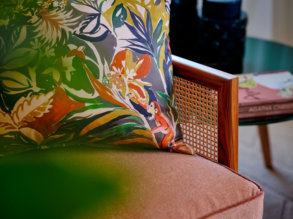 Upholstery fabrics - MOHAIRMANIA - ALDECO