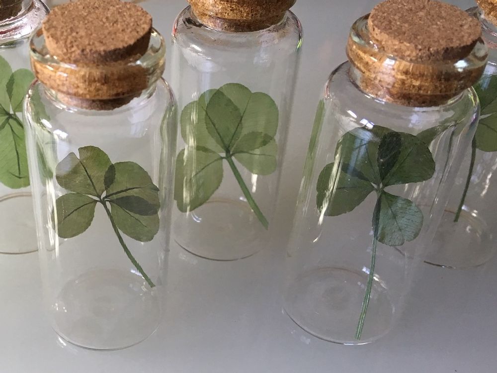Bijoux - Bouteille Clover - CARRÉ DE TRÈFLES