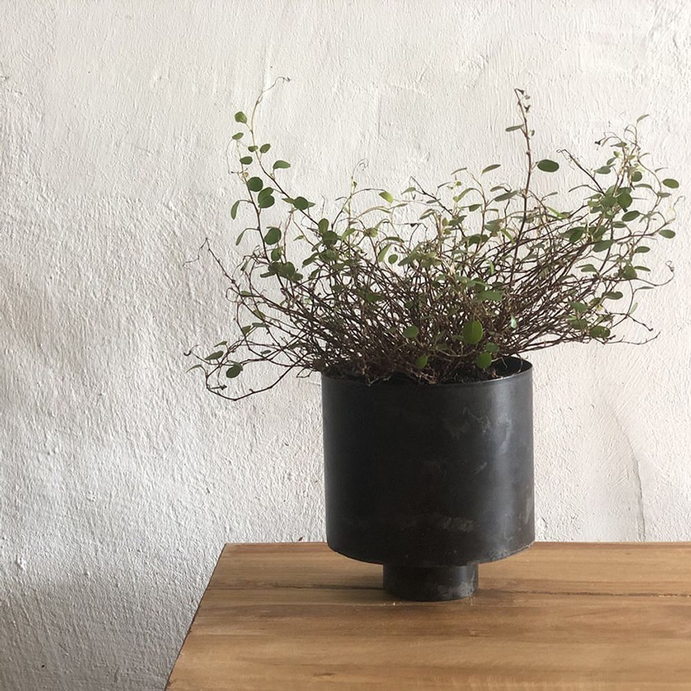 Homewear - Metal Legs Pot - NAMAN-PROJECT
