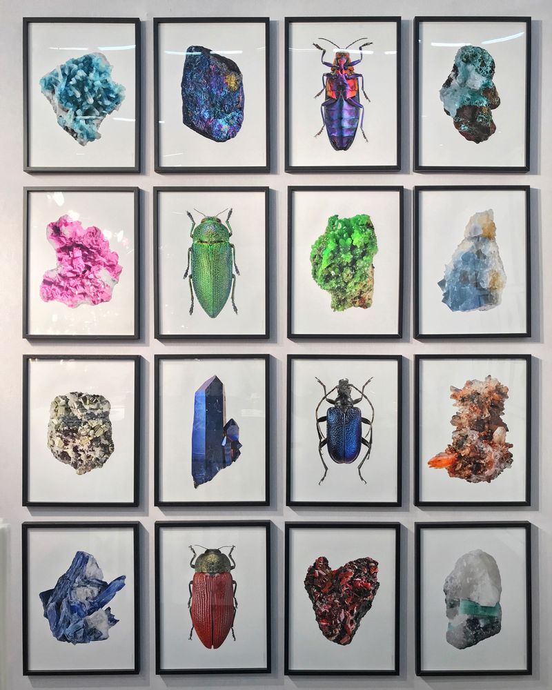 Frames - Frames - LILJEBERGS