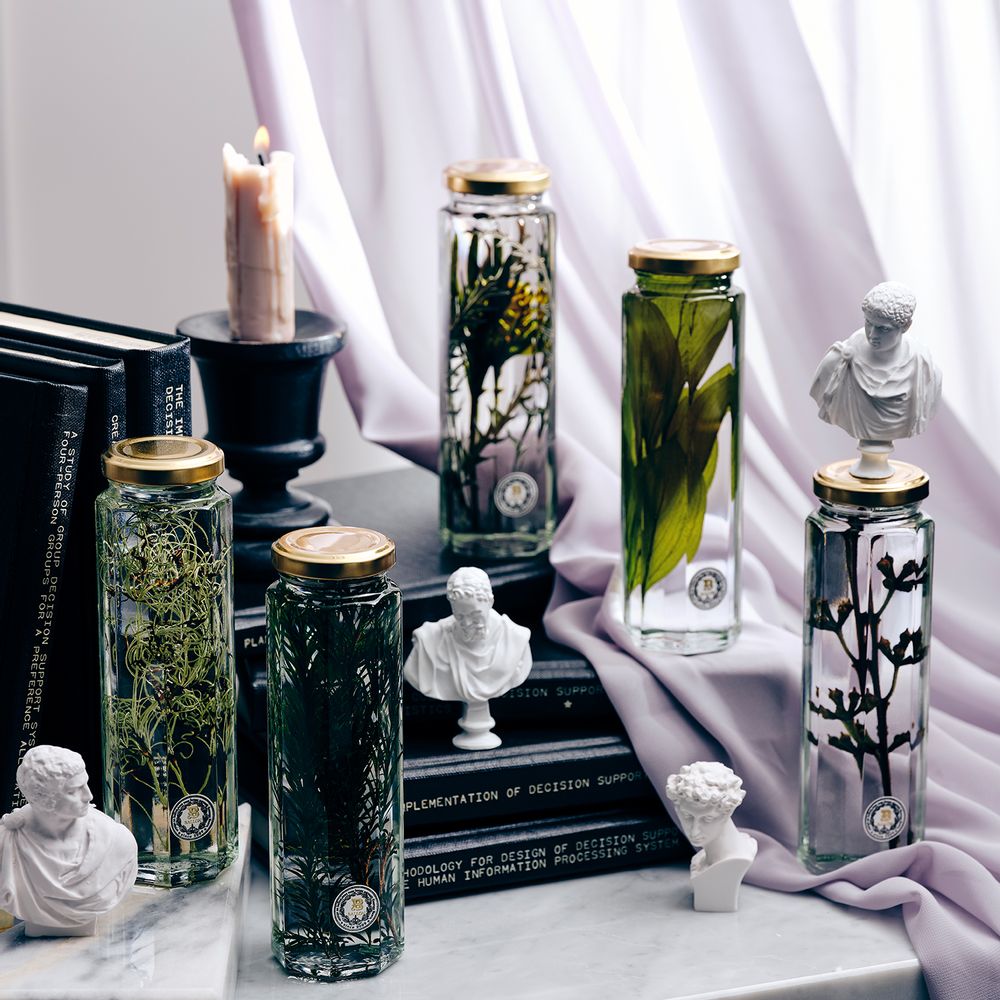 Floral decoration - Herbarium: The flower in a bottle - BALLON