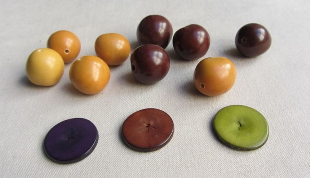 Artistic hardware - Natural seeds (beads) - TIERRATAGUA & CREATIERRA