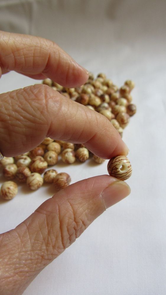 Artistic hardware - Natural seeds (beads) - TIERRATAGUA & CREATIERRA