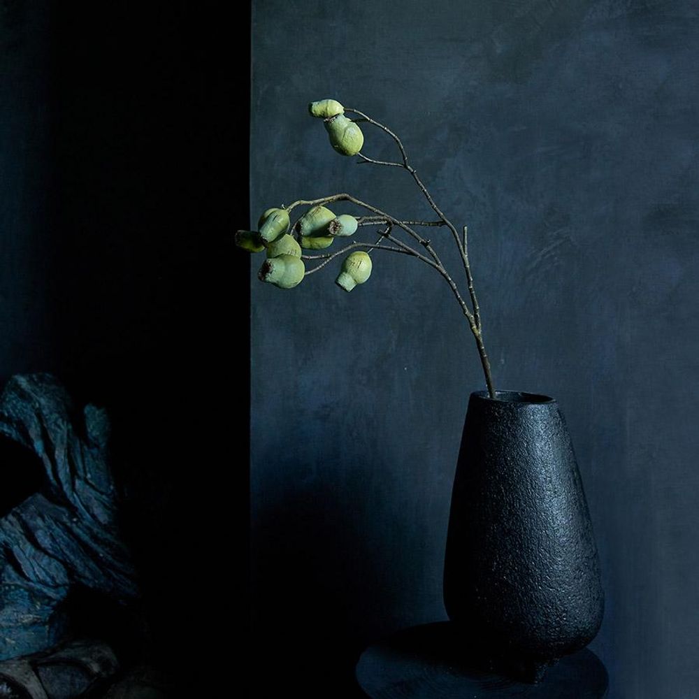 Floral decoration - EUCALYPTUS GUM NUT - ABIGAIL AHERN