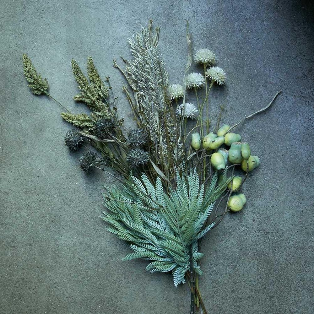 Floral decoration - EUCALYPTUS GUM NUT - ABIGAIL AHERN