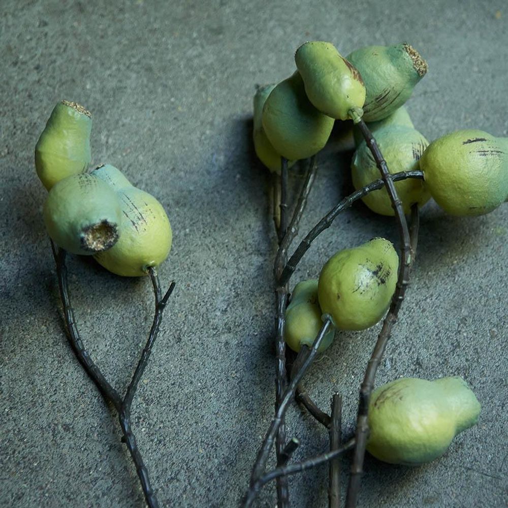 Floral decoration - EUCALYPTUS GUM NUT - ABIGAIL AHERN