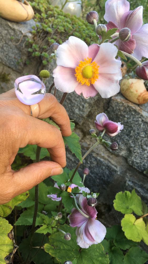 Jewelry - Ice cube ring - SILICE CREATION