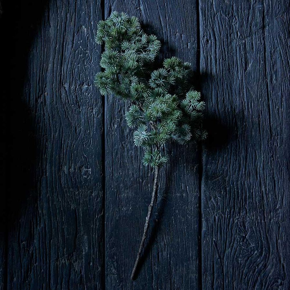 Floral decoration - MARSH FERN - ABIGAIL AHERN